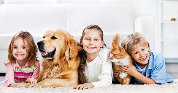 The Best Pet Safe Cleaning Products