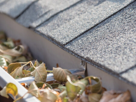 Fall Home Maintenance Tips for Florida Homeowners